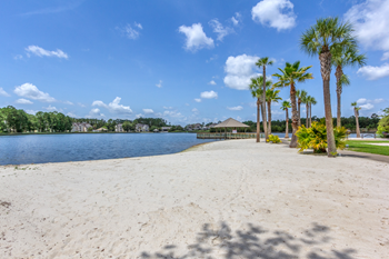 a sandy beach with palm trees and a pier in the background